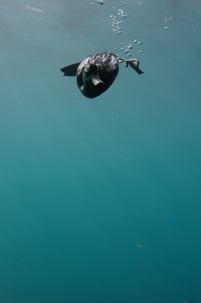 20121204-154055.jpg