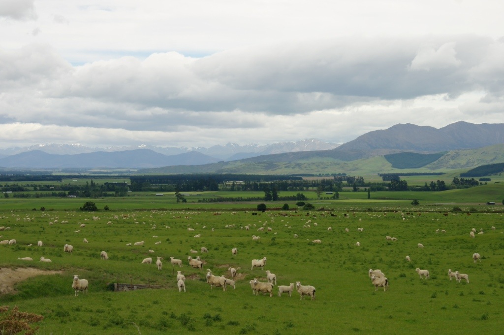 20121204-154258.jpg